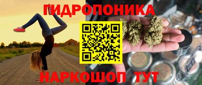 бошки Гатчина