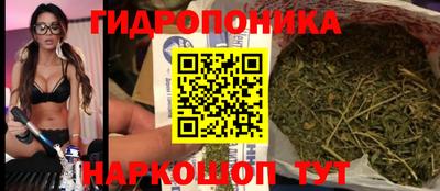 крисы Гусь-Хрустальный
