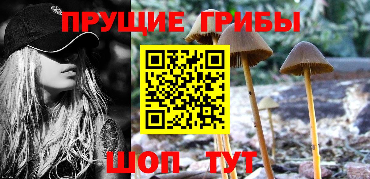Псилоцибиновые грибы прущие грибы  Псилоцибиновые грибы Psilocybe  Ипатово  Вход с VPN 